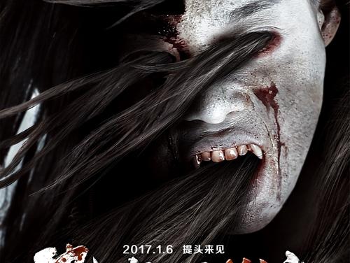 科罗拉多州立大学市场营销文凭证书